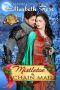 [Holiday Knights 01] • Mistletoe and Chain Mail · Christmas